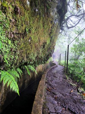 Levada do Furado, Madera