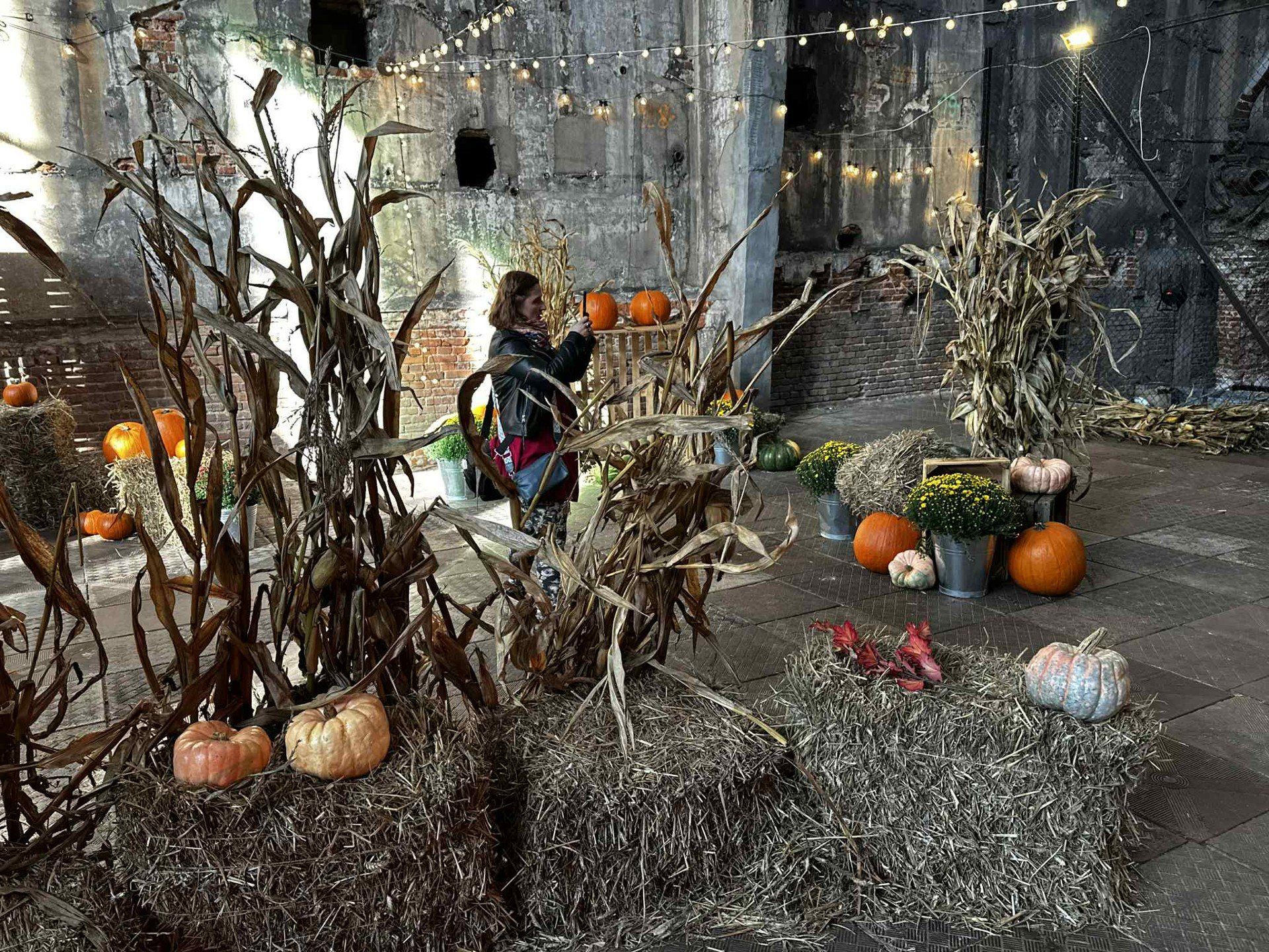 fuzja lodz, farma dyń, kotłownia