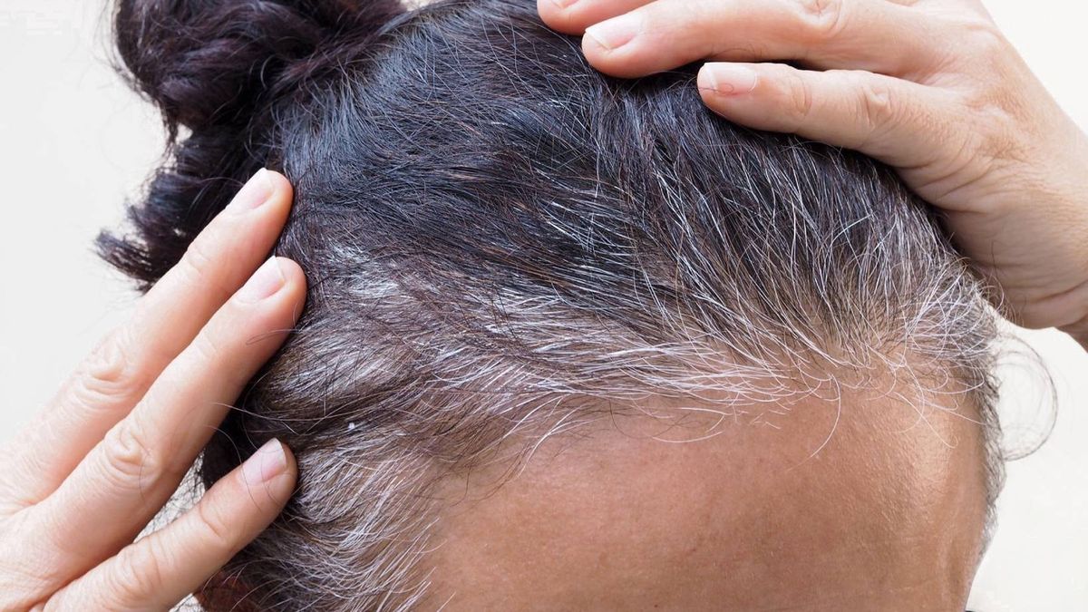 Jak obchodzić się z siwymi włosami? 