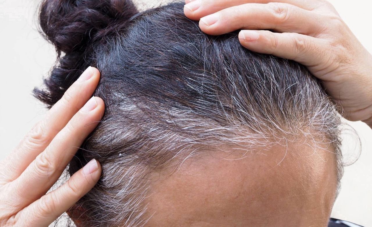 Jak obchodzić się z siwymi włosami? 