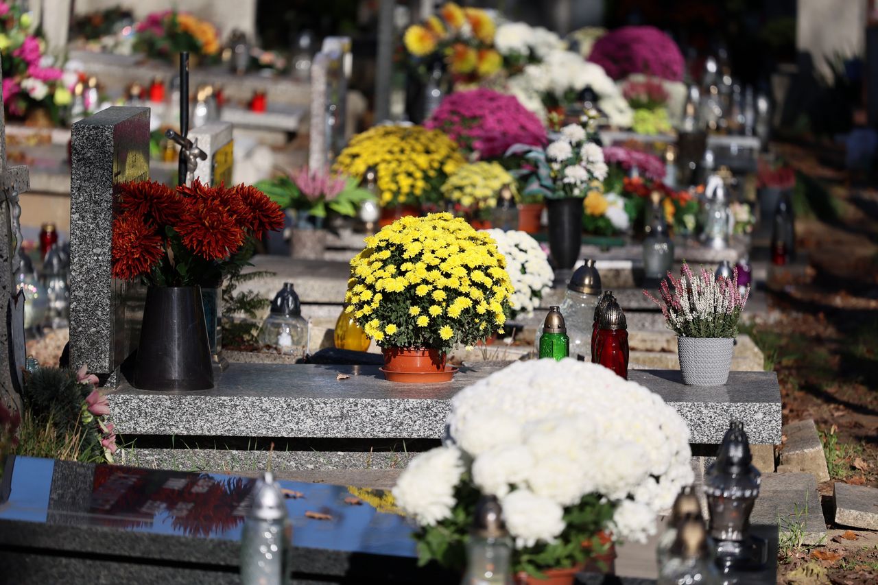 Jak przedłużyć trwałość kwiatów na cmentarzu?