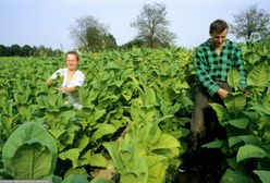 Kontrowersyjna branża protestuje w Warszawie. Poszło o podatki