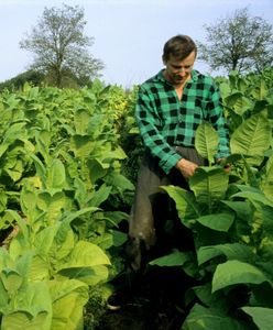 Kontrowersyjna branża protestuje w Warszawie. Poszło o podatki