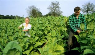 Kontrowersyjna branża protestuje w Warszawie. Poszło o podatki