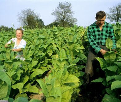 Kontrowersyjna branża protestuje w Warszawie. Poszło o podatki