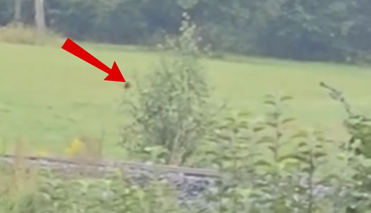 Niosą się ujęcia z Dolnego Śląska. Apele o "szczególną ostrożność"