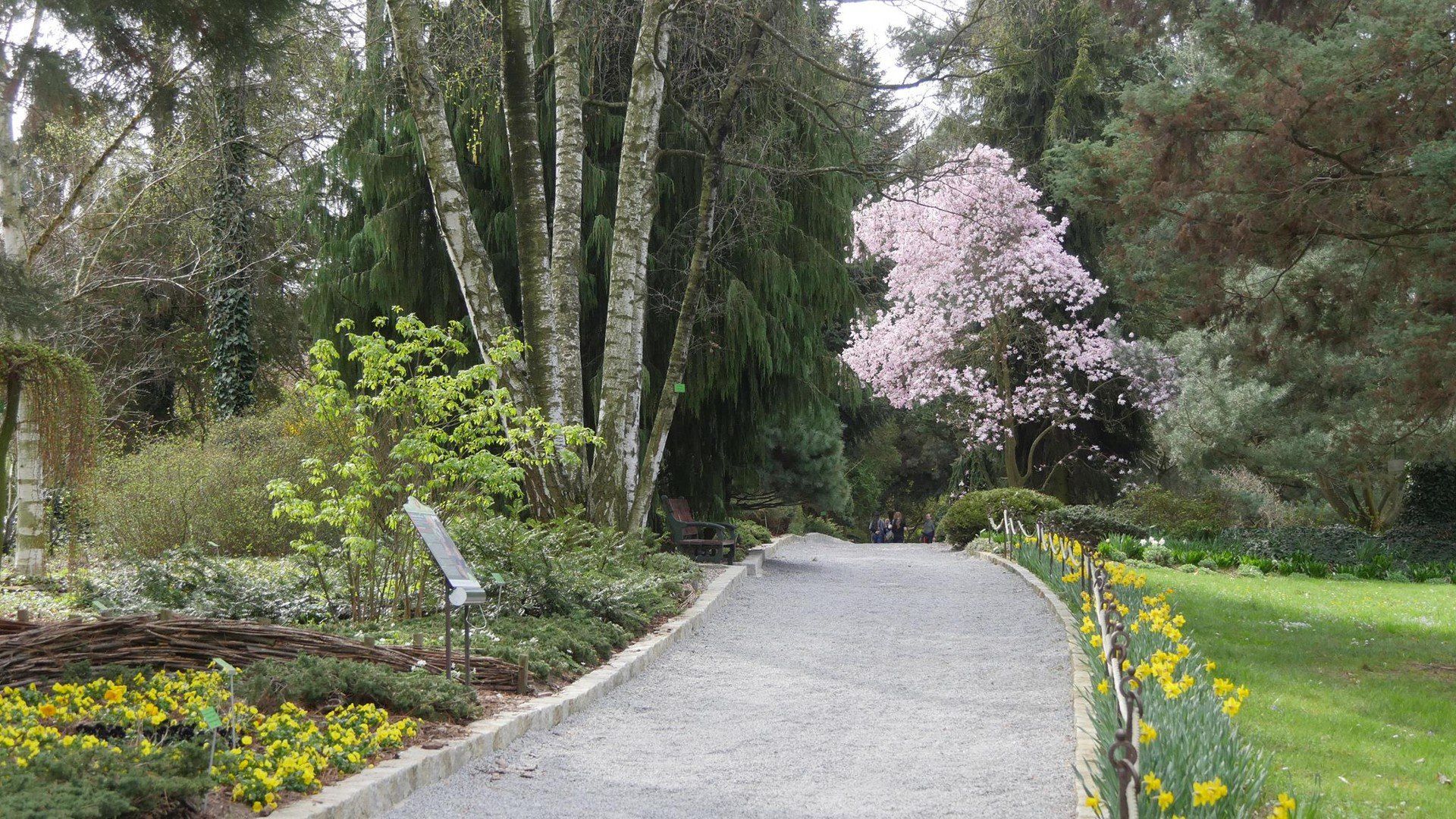 Na południu Dolnego Śląska, zaledwie godzinę drogi od Wrocławia, kryje się wyjątkowe miejsce - Arboretum w Wojsławicach. To nie tylko ogród botaniczny, ale też romantyczny park z ponad 200-letnią historią, w którym przyroda splata się z pasją i sztuką ogrodniczą.