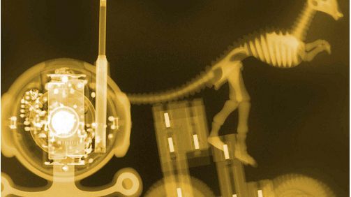 Zobacz, jak wyglądają gadżety potraktowane promieniowaniem X 1