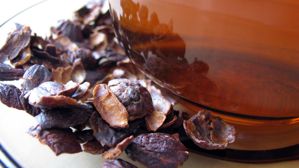 Cascara to suszone skórki owoców kawowca