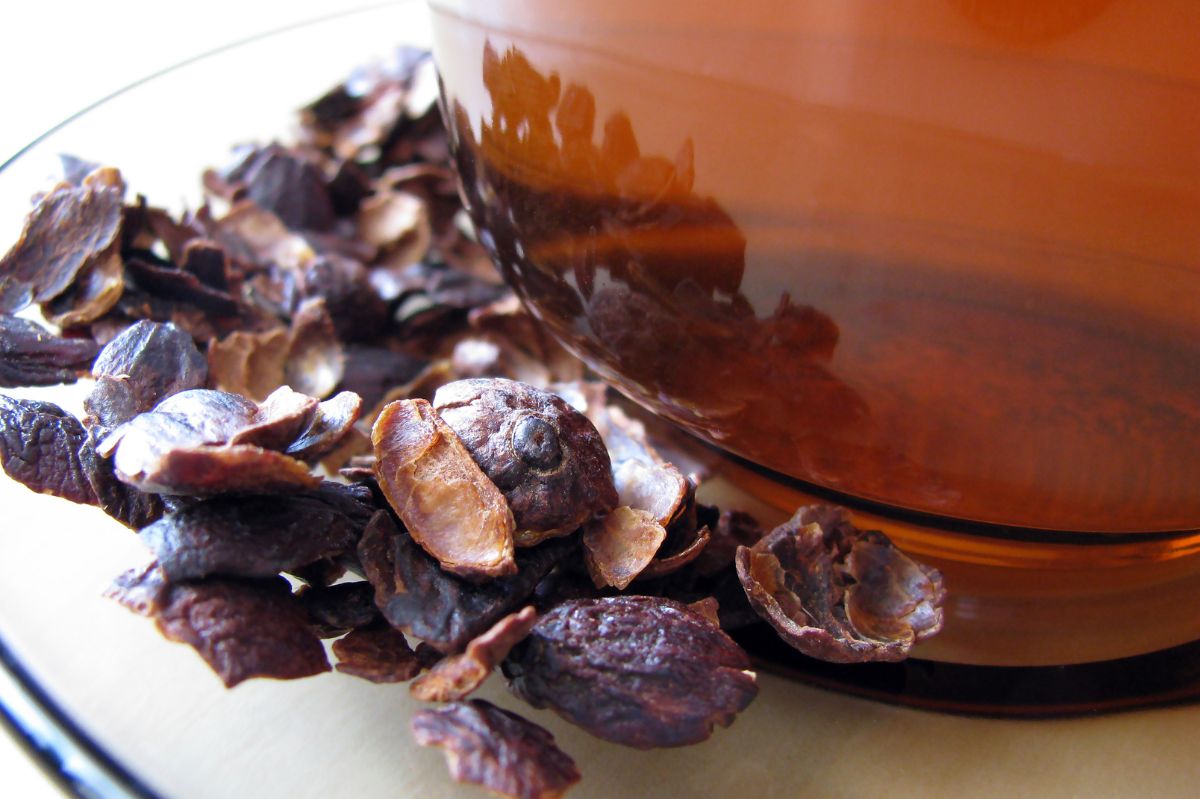 Cascara: The healthy coffee alternative you need to try