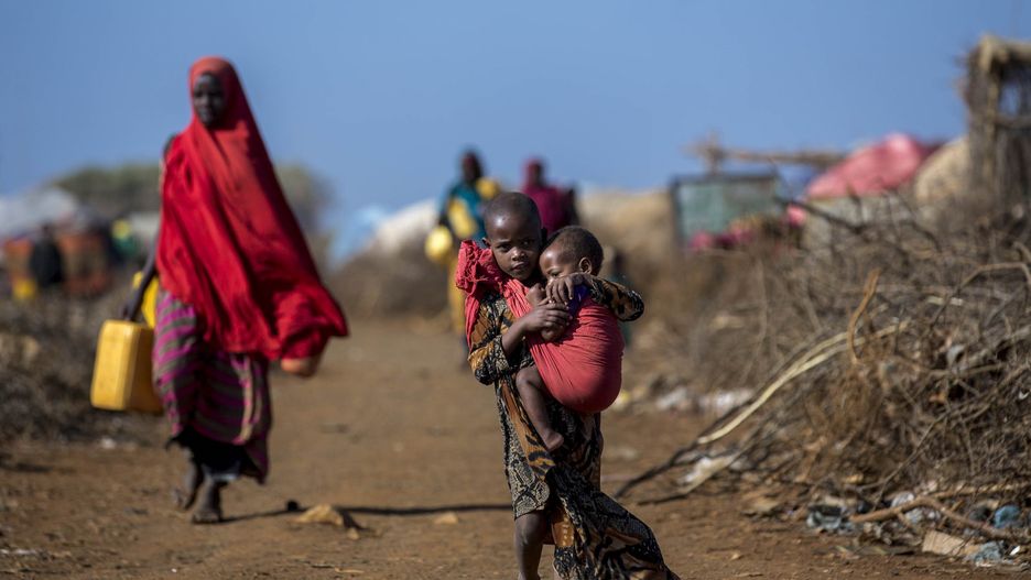 Poziom głodu na świecie rośnie. ONZ Alarmuje