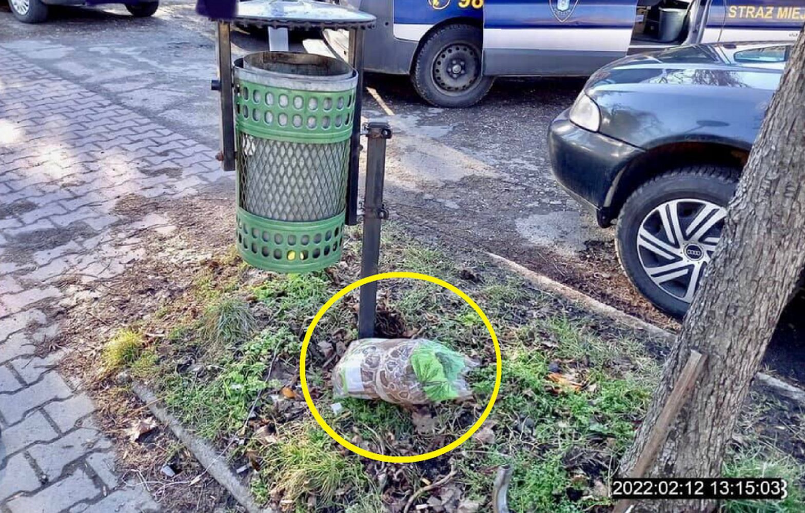 Nie taki wąż straszny - żąrtuja strażnicy