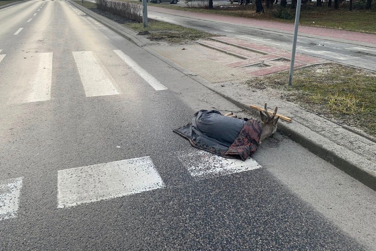 Ranny i porzucony. Leżał przy samym przejściu. Sprawca uciekł