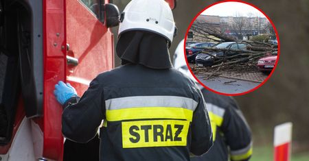 Potężne wichury nad Polską. Zerwany dach, powalone drzewa