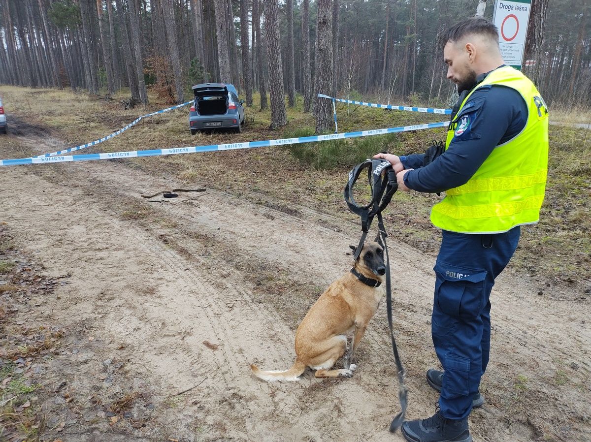 policja, wałcz