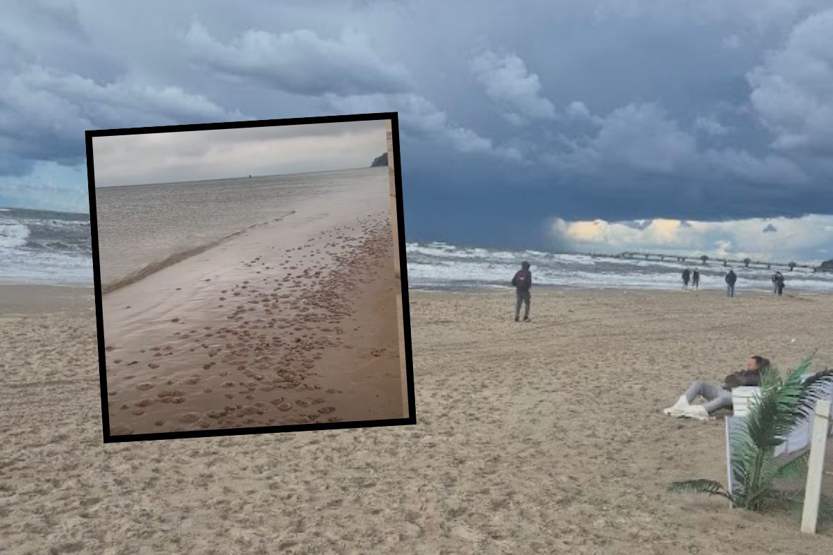 "Tysiące" na plaży. Niesie się nagranie z Międzyzdrojów