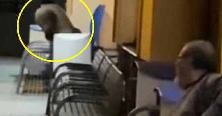 Nietypowy gość na stacji kolejowej. Słowak przyglądał się niewzruszony