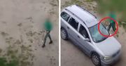 Szokujące sceny w Lęborku. Zdemolował samochód sekatorem