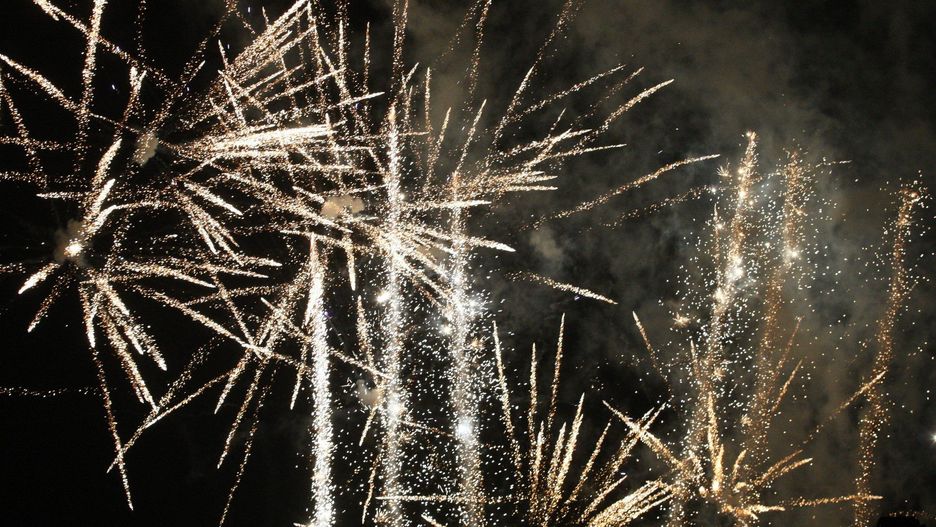 Regionalna Dyrekcja Ochrony Środowiska w Poznaniu nie zaleciła przeprowadzania pokazów pirotechnicznych w obrębie siedlisk gatunków chronionych na Cytadeli w trakcie trwania festiwalu.