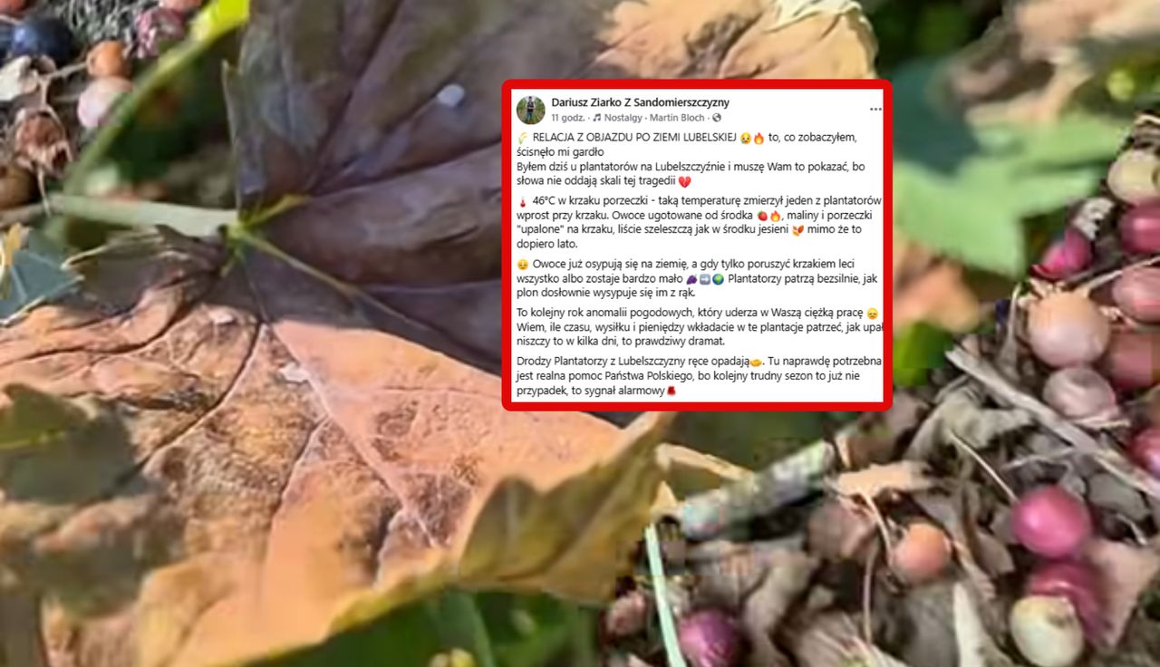 "Ścisnęło mi gardło". Ponury widok na Lubelszczyźnie