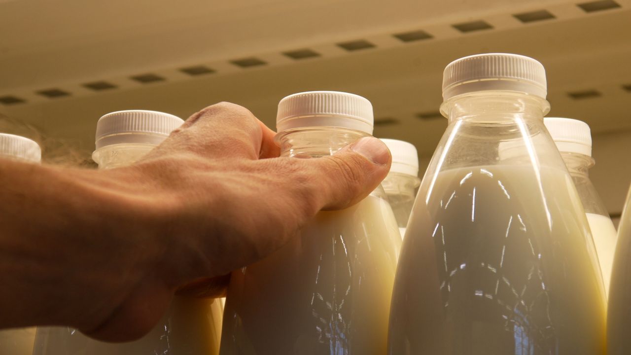 Is it worth drinking lactose-free milk?