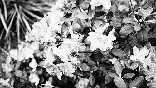 Olympus E-PL1 - TEST część 1 6