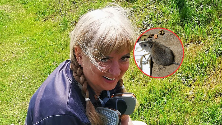 Elżbieta Suszczyńska od wielu lat zajmuje się deratyzacją