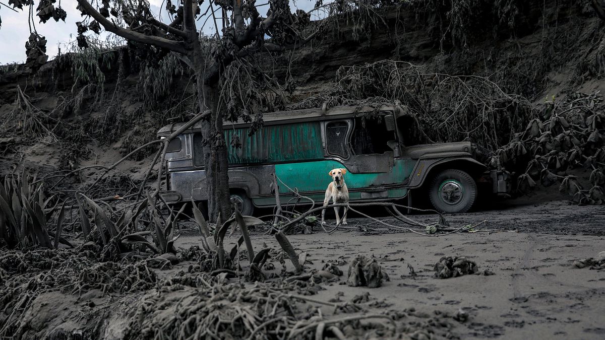 Wulkan Taal na Filipinach wybuchł. Okolica jest pogrążona w pyle 1