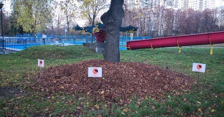 Warszawa. Domki z liści pomogą jeżom przetrwać zimę
