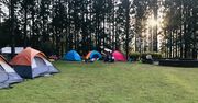 Wakacje pod lupą sanepidu: jak naprawdę wygląda bezpieczeństwo dzieci na letnich koloniach w Wielkopolsce?