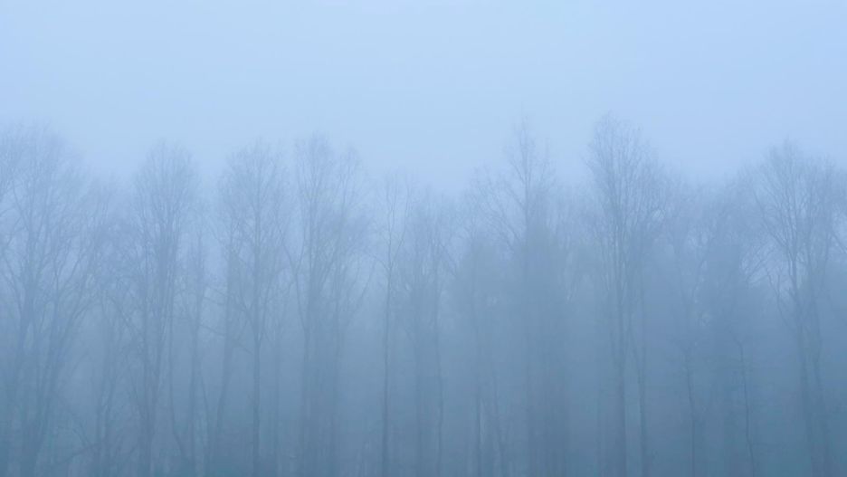 Pogoda. Wrocław. 2 marca 2021 - lekki powiew wiosny. Zima powróci w piątek