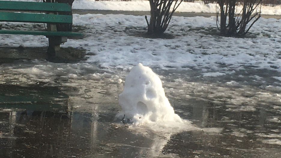 Warszawa. Śnieżna afera na stołecznej Ochocie. Radna występuje z ekologiczną interpelacją, wiceburmistrz reaguje kpiną