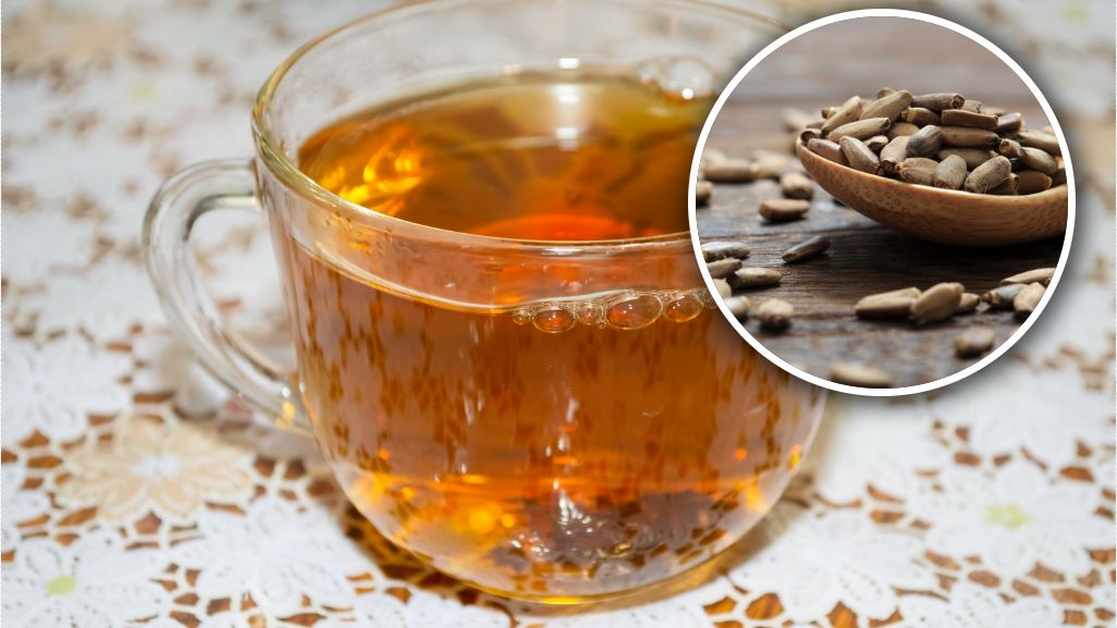 Dlaczego warto pić napar z ostropestu?