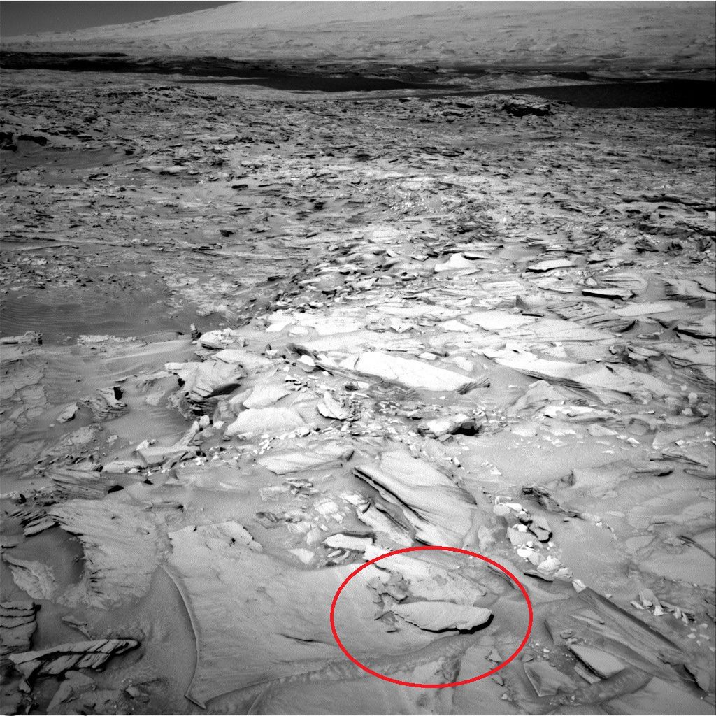 Domniemane skamieliny ryby na Marsie.