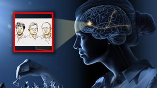 Dostali Nobla z medycyny. Rewolucja w neurobiologii