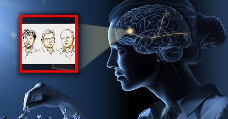 Dostali Nobla z medycyny. Rewolucja w neurobiologii