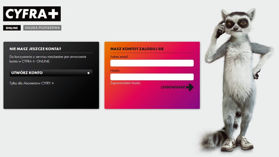 Usługa Web TV również w Cyfrze+ 1