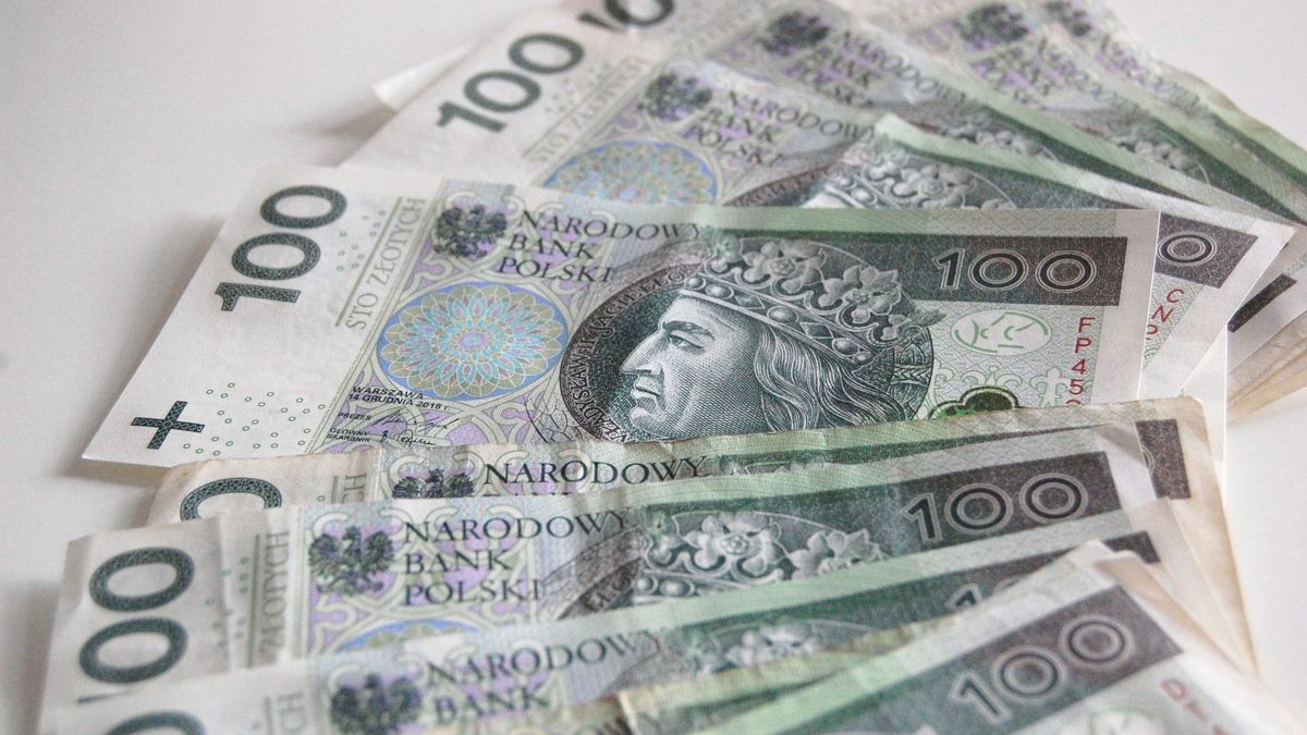 Posiadacze Karty Dużej Rodziny będą mieli wyższy limit zamrożonych cen prądu. Dotyczy to także seniorów, którzy mają tę kartę