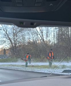 Absurd przy drogach. Dlaczego koszą pobocza zimą?