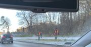 Absurd przy drogach. Dlaczego koszą pobocza zimą?