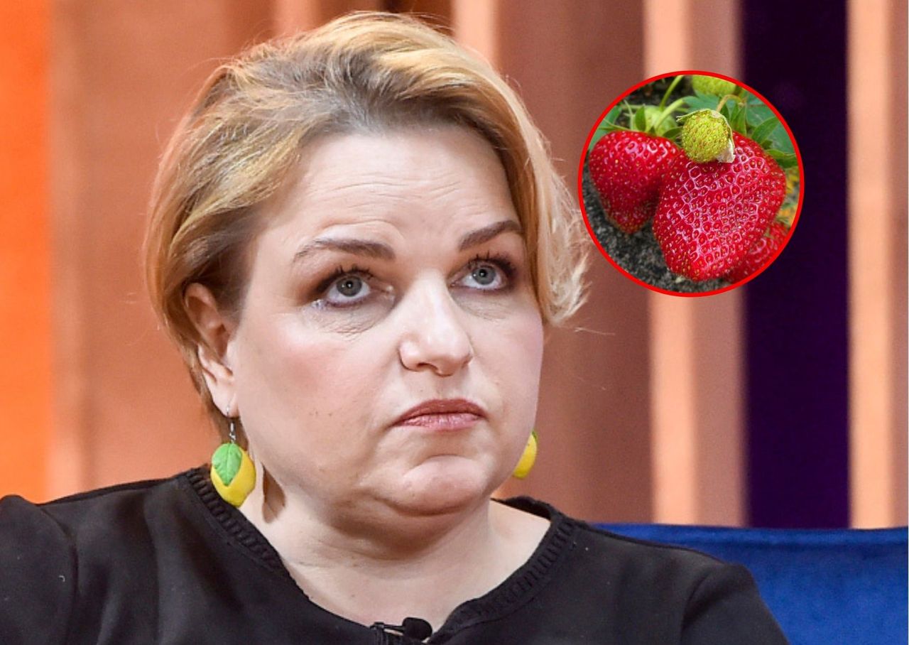 Katarzyna Bosacka pokazała, ile kosztują truskawki 