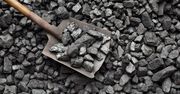 Zmiany w limitach zakupu węgla. Wiceminister mówi o uelastycznieniu