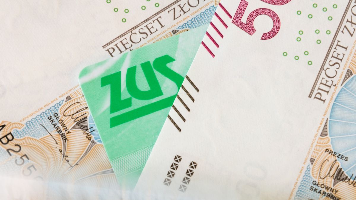 200, 500, zus, accounting, background, bank, banking, banknote, bill, business, buy, cash, currency, debt, earnings, economy, europe, european, exchange, finance, financial, fortune, income, investment, loan, money, paper, pay, payment, pln, poland, polish, retirement, rich, salary, savings, tax, white, zloty, accountant, closeup, system, card, pensioner, help, new, fresh, green, social, security