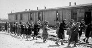Dzieci wyrwane matkom w Plaszowie. Najbardziej wstrząsający dzień w historii obozu