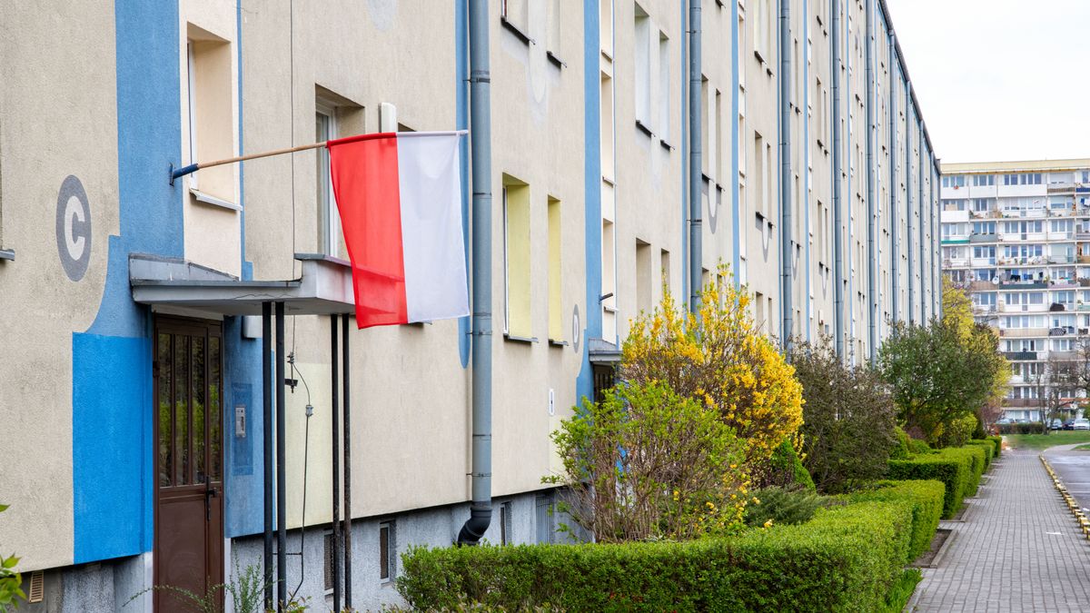 Bezpieczny Kredyt 2%. Podsumowujemy program po prawie dwóch miesiącach działania