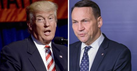 Trump wymusi zmiany? "Będziemy mieć teraz bardziej mięsisty język"