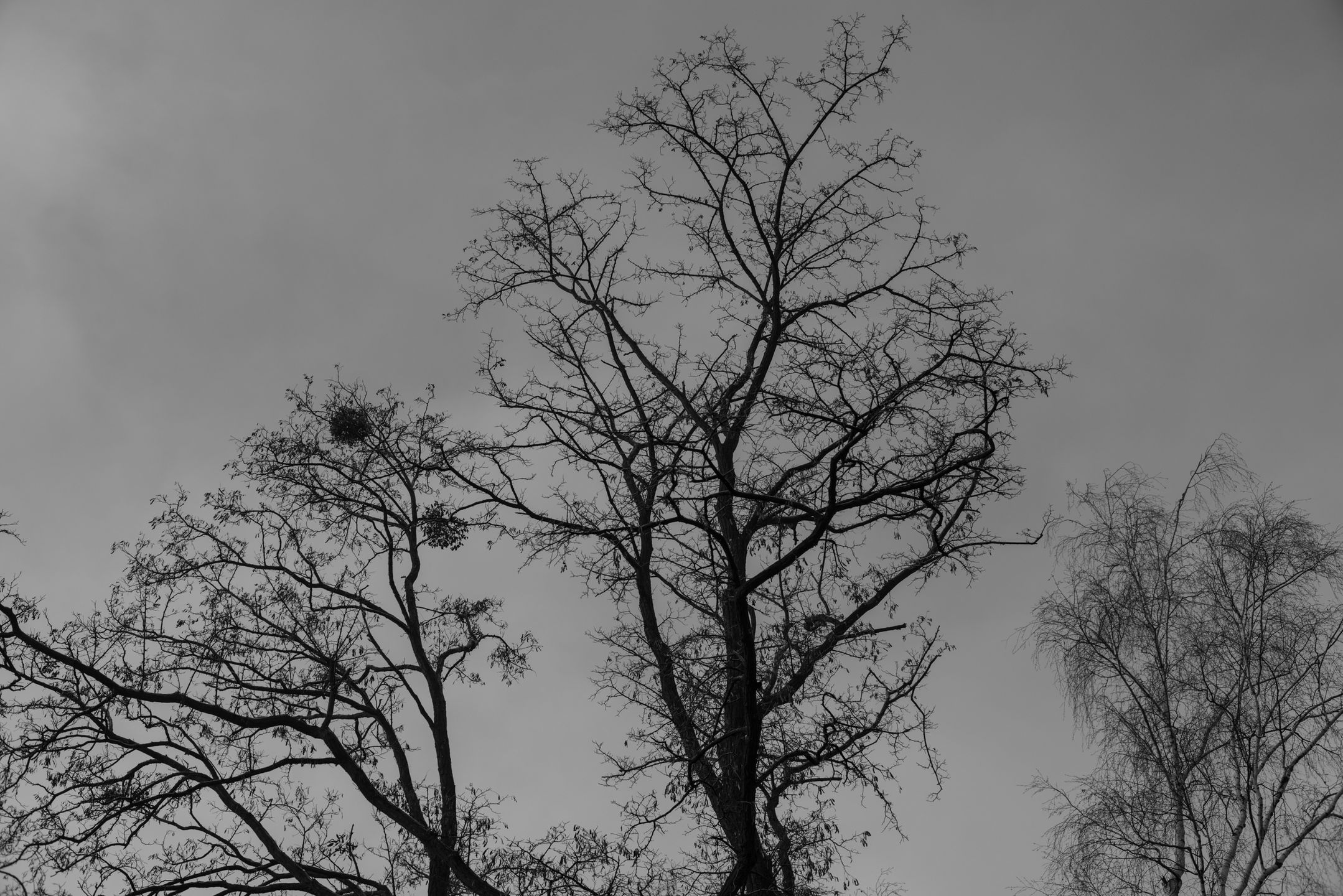 Voigtländer VM 50 mm f/1.1 Nokton - bardzo jasna pięćdziesiątka, która kreuje własną rzeczywistość [test] 46