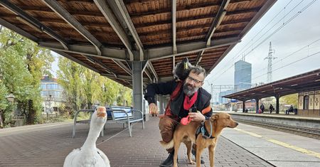 O gęsi, która jeździła koleją. W najlepszym towarzystwie!