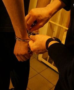 Jastrzębie Zdrój. Seryjny włamywacz w rekach policji. Odpowie za kilkadziesiąt kradzieży