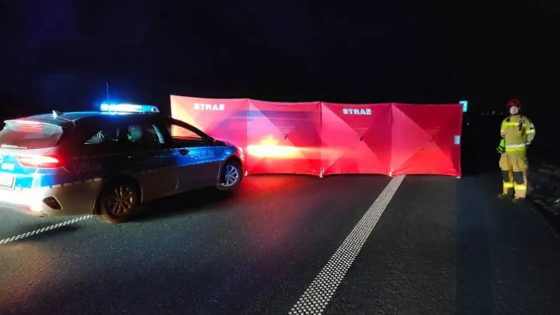 Wielkopolska. Piesi weszli na S5. Oboje zginęli